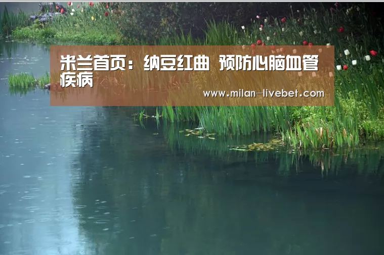 米兰首页:纳豆红曲 预防心脑血管疾病(图2) 米兰首页