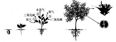 欣欣旅游网引爆旅博会 打造“互联网+旅游”新天地【米兰直播】(图2) 米兰直播