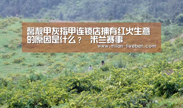馨靓甲灰指甲连锁店拥有红火生意的原因是什么?-米兰赛事(图3) 米兰赛事