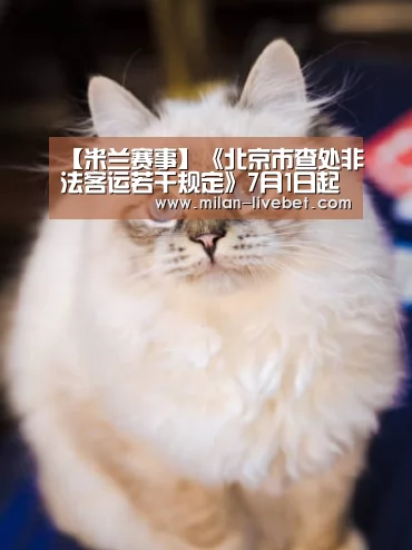 米兰直播