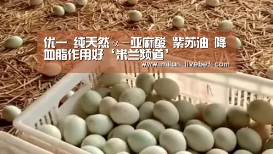 优一 纯天然α-亚麻酸 紫苏油 降血脂作用好‘米兰频道’(图2) 米兰赛事