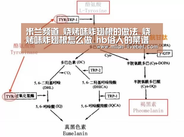 米兰频道_烧烤味炸翅根的做法_烧烤味炸翅根怎么做_hb俗人的菜谱(图2) 米兰频道