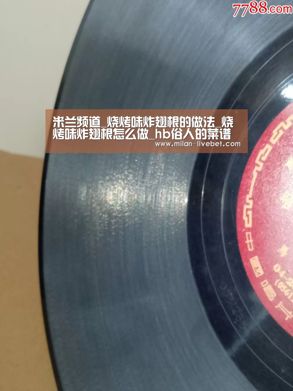 米兰频道_烧烤味炸翅根的做法_烧烤味炸翅根怎么做_hb俗人的菜谱(图1) 米兰频道