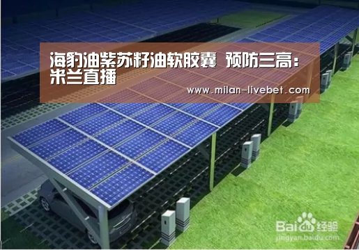 海豹油紫苏籽油软胶囊 预防三高:米兰直播(图2) 米兰频道