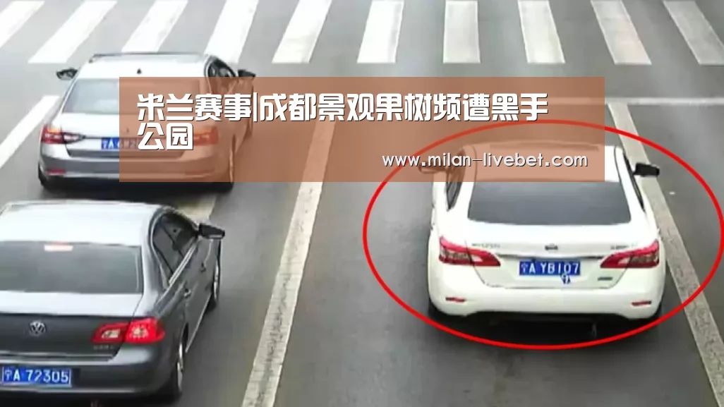 米兰赛事|成都景观果树频遭黑手 公园(图1) 米兰直播
