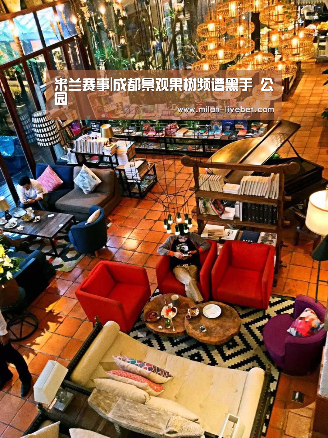 米兰赛事|成都景观果树频遭黑手 公园(图2) 米兰首页