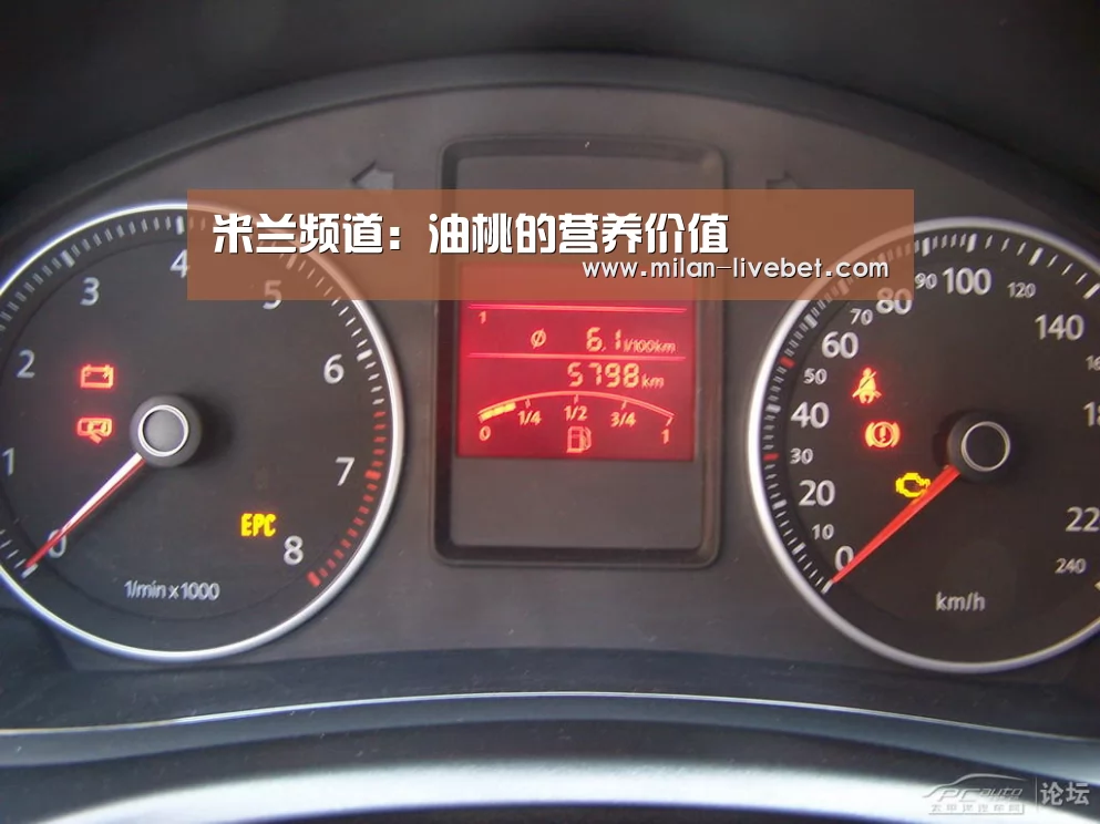 米兰频道:油桃的营养价值(图1) 米兰频道
