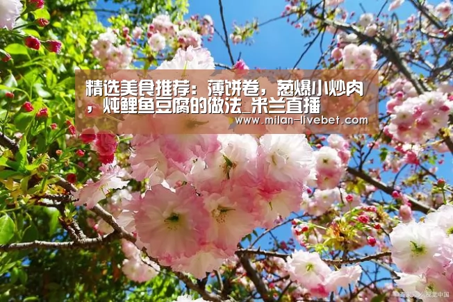 精选美食推荐:薄饼卷,葱爆小炒肉,炖鲤鱼豆腐的做法_米兰直播(图2) 米兰频道