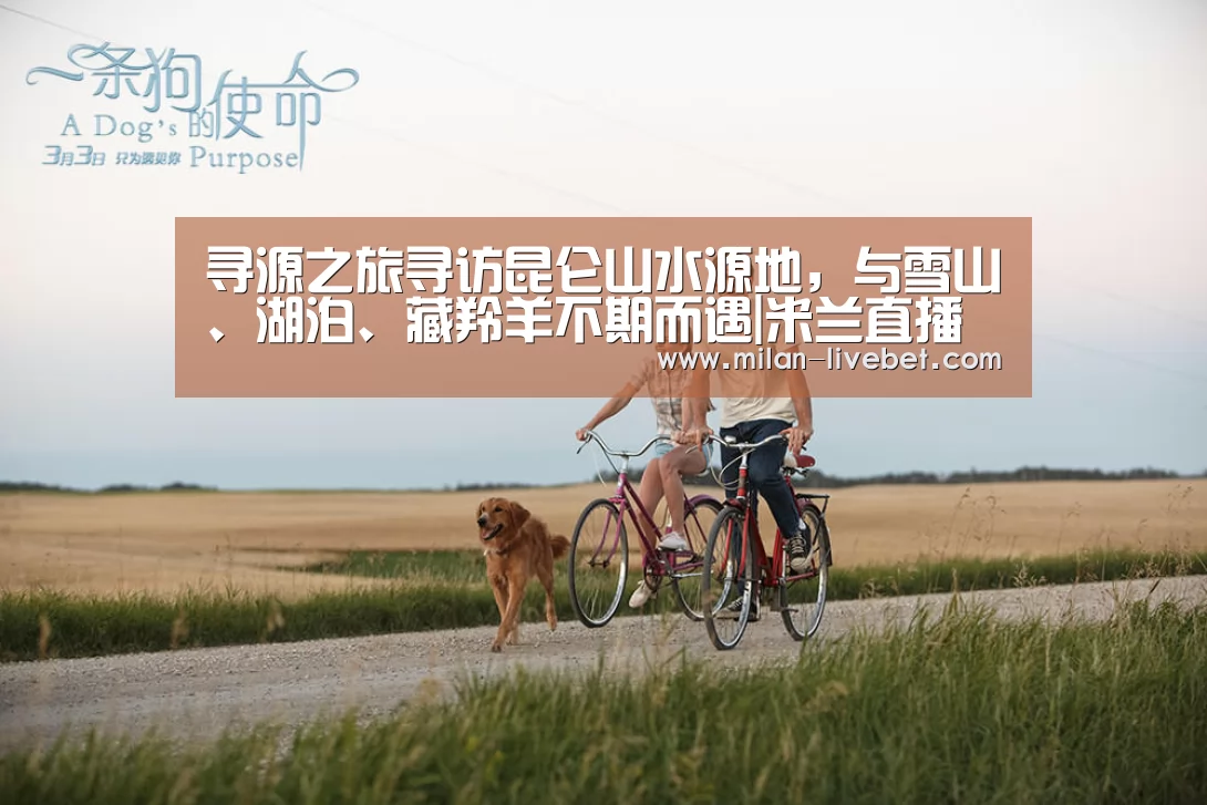 寻源之旅寻访昆仑山水源地,与雪山、湖泊、藏羚羊不期而遇|米兰直播(图2) 米兰赛事